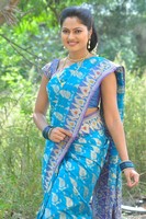 Suhasini Saree Photos